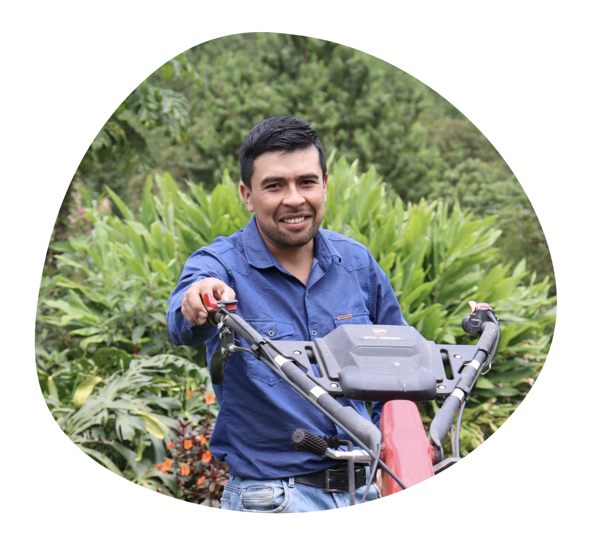 Captura de ecrã 2025-11-07, às 12.07.36